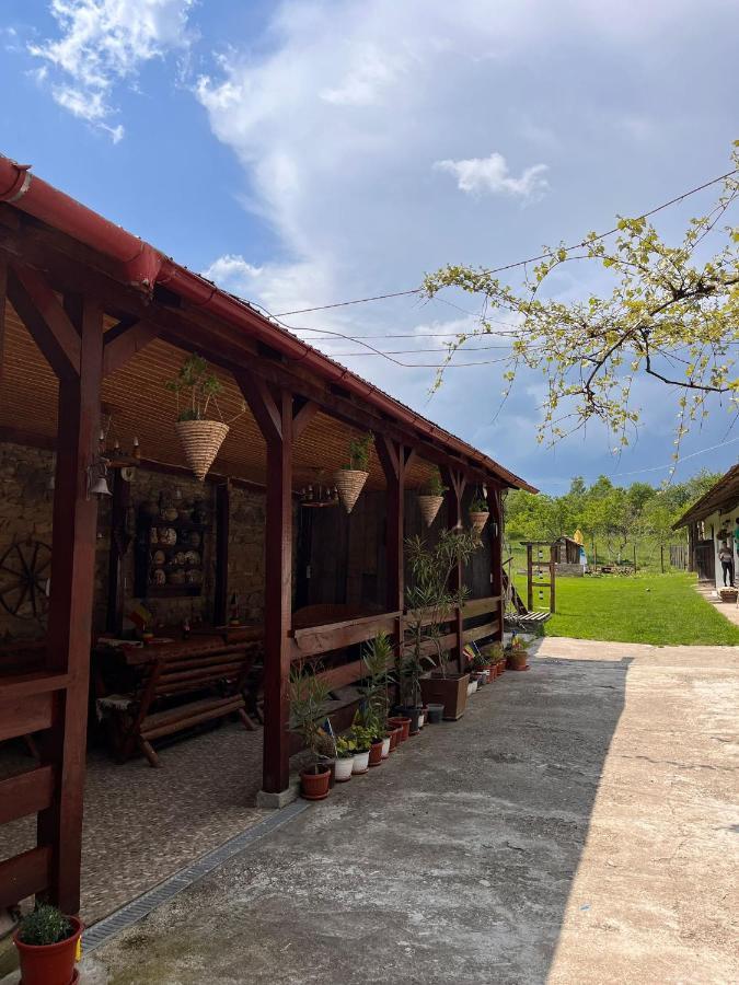 Casa Pe Valea Hartibaciului Casa de hóspedes Barcut Exterior foto